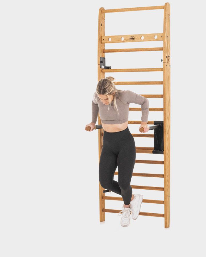 NOHRD WallBars Dip Bar